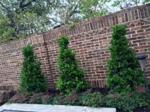 Кирпичный забор сплошной 12 метров фото в Мытищах